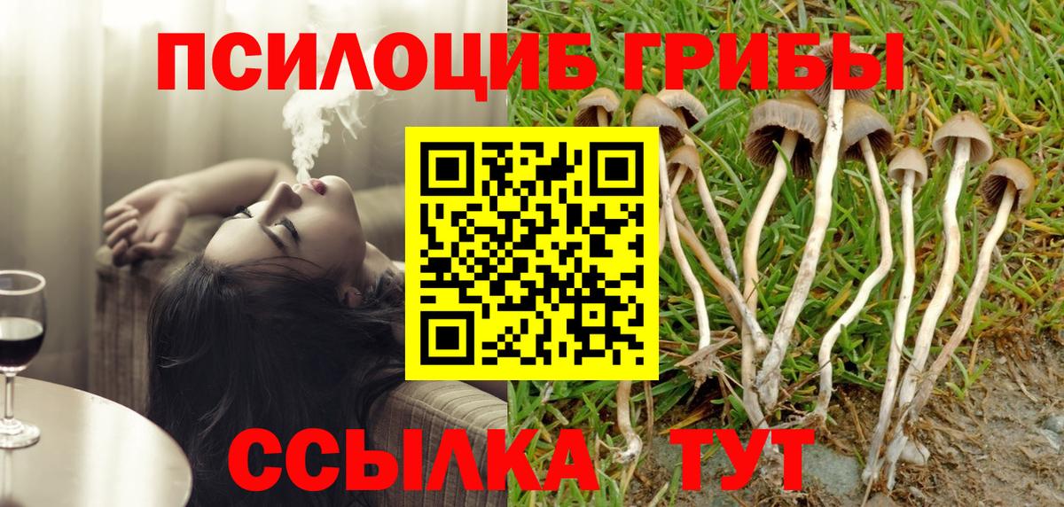 Псилоцибиновые грибы Psilocybine cubensis  Галлюциногенные грибы Psilocybe  Балашиха  Вход с VPN 